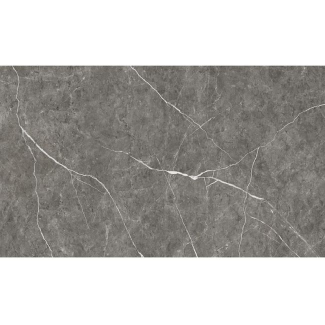 83061-110421 83061-110421