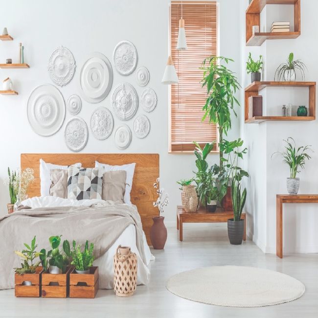 74234-114876 74234-114876