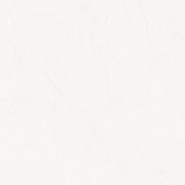 88445-152024